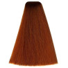 Kleuring Art Vitality's (per kleur)