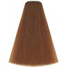 Kleuring Art Vitality's (per kleur)
