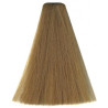 Kleuring Art Vitality's (per kleur)