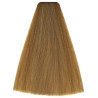 Kleuring Art Vitality's (per kleur)
