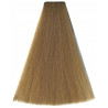 Kleuring Art Vitality's (per kleur)