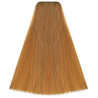 Kleuring Art Vitality's (per kleur)
