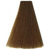 Kleuring Art Vitality's (per kleur)