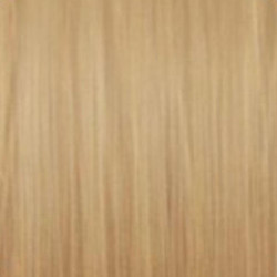 Kleuringskunst Vitality's 100ML (per kleur)