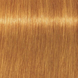 Kleuringskunst Vitality's 100ML (per kleur)