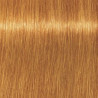 Kleuring Art Vitality's (per kleur)