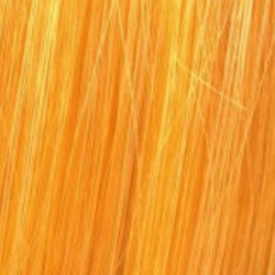 Kleuringskunst Vitality's 100ML (per kleur)