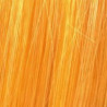 Kleuring Art Vitality's (per kleur)