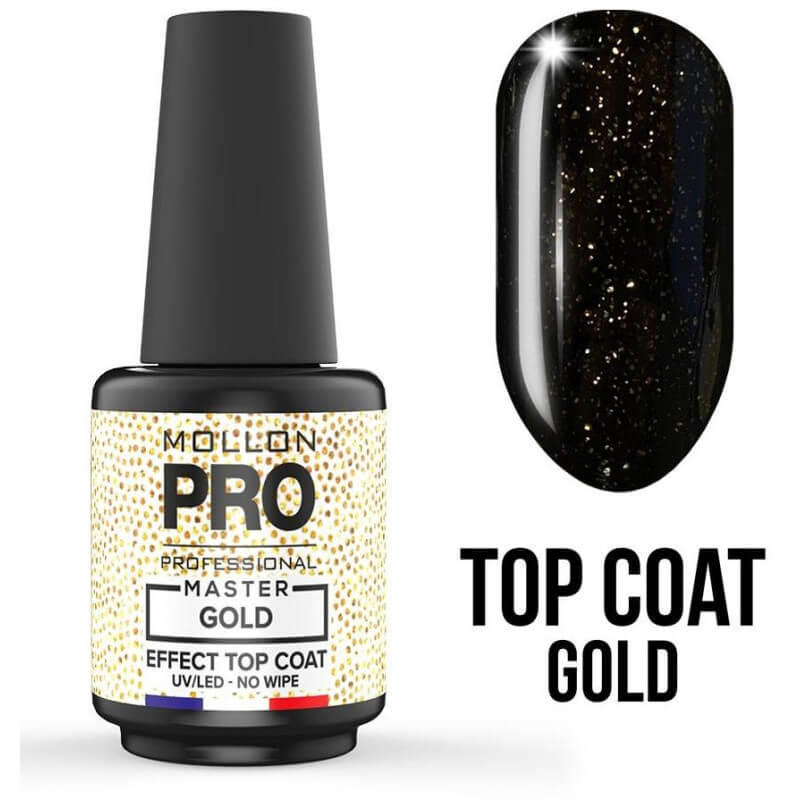 Top coat Master silver Mollon Pro 10ML