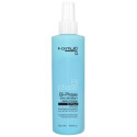 Spray bi-phase nutritif démêlant Formul Pro 250ML