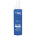 Spray silver cheveux gris/blonds Formul Pro 250ML