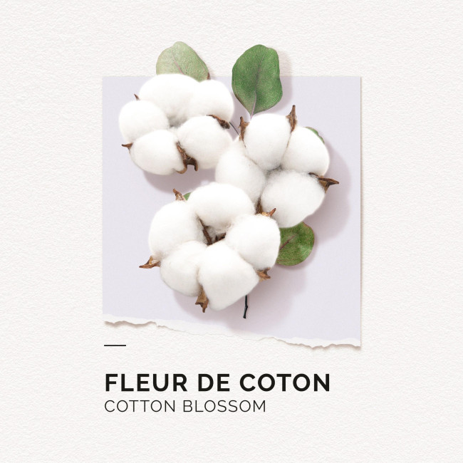 Cotton Flower Eau de Parfum Solinotes 50ML