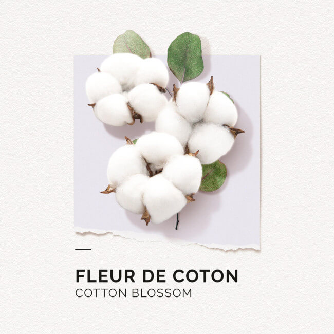 Eau de Parfum Fleur de coton Solinotes 50ML