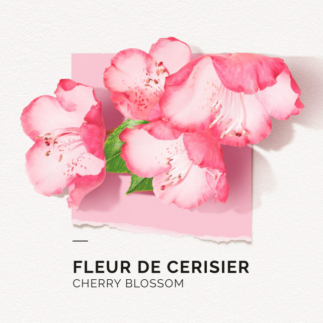 Eau de Parfum Fleur de Cerisier Solinotes 15ML