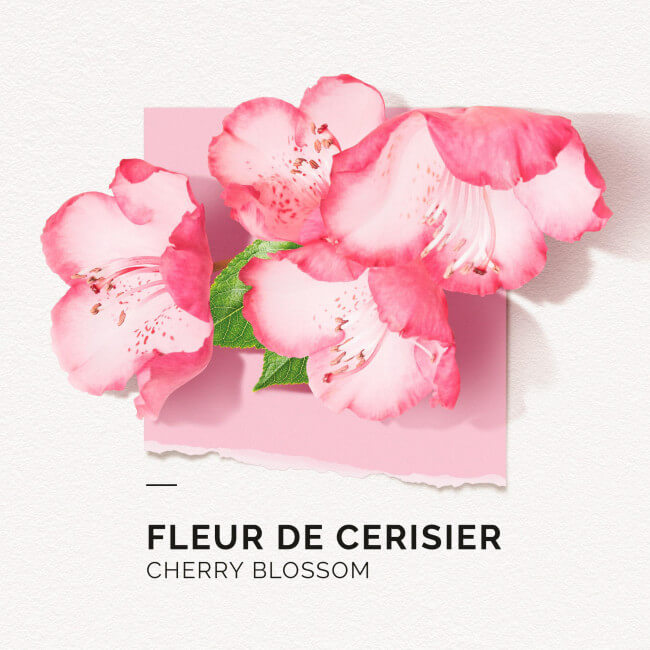 Eau de Parfum Flor de Cerejeira Solinotes 50ML