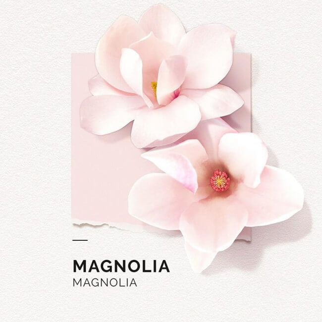 Eau de Parfum Magnolia Solinotes 50ML