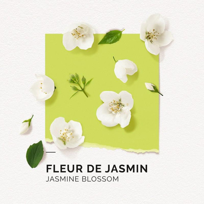 Eau de Parfum Fleur de Jasmin Solinotes 15ML