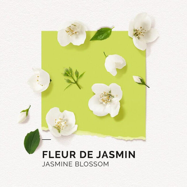 Eau de Parfum Fleur de Jasmin Solinotes 50ML