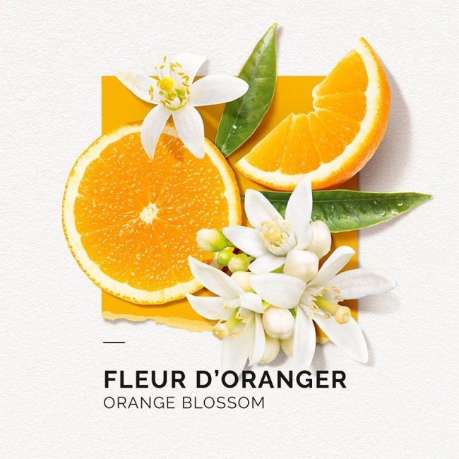 Eau de Parfum Fleur d'Oranger Solinotes 15ML