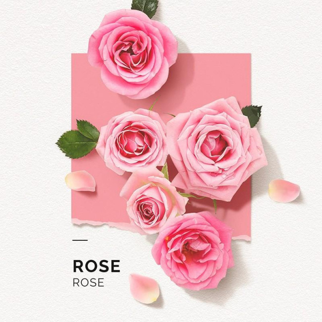 Eau de Parfum Rose Solinotes 15ML