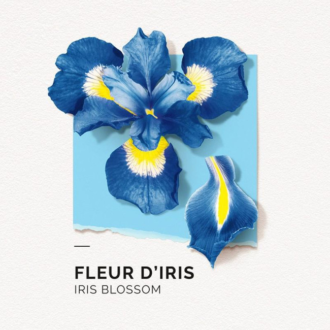 Eau de Parfum Fleur d'Iris Solinotes 50ML