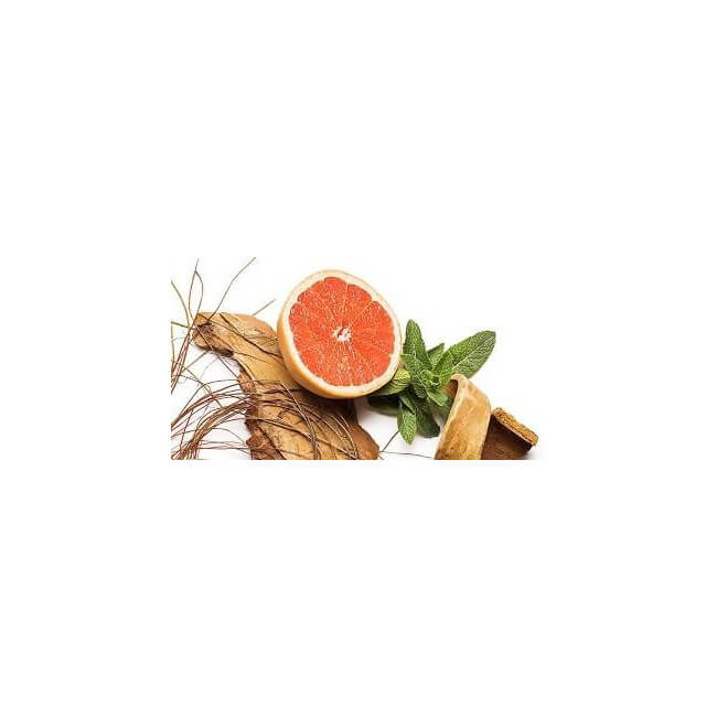 Desodorizante proteção 24h Nuxe Men 50ML