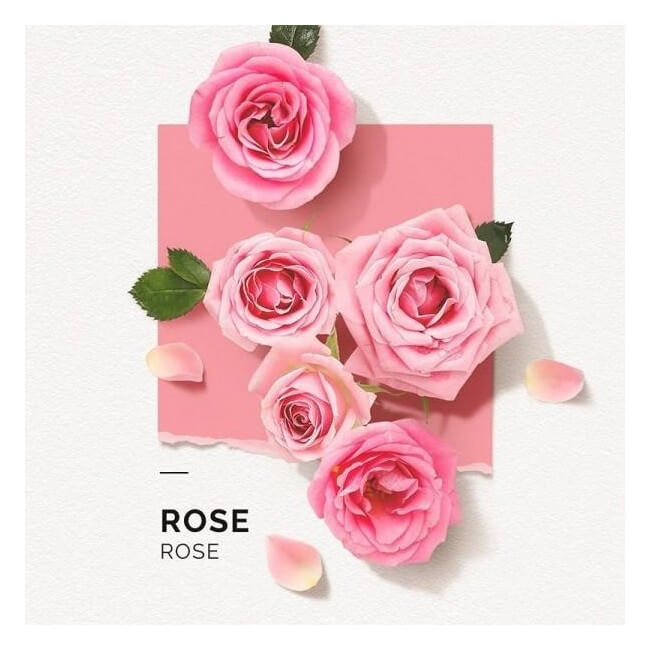 Brume parfumée Rose Solinotes 250ML

Mist met rozengeur Solinotes 250ML