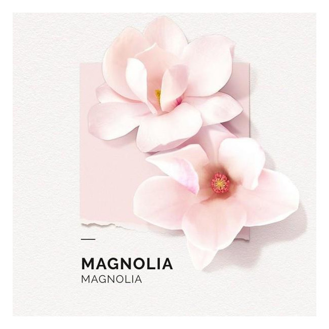 Brume parfumée Magnolia Solinotes 250ML
