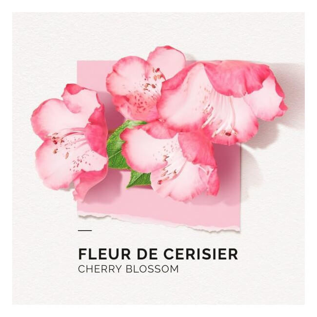 Brume parfumée Fleur de cerisier Solinotes 250ML

translated to Dutch:

Geparfumeerde nevel Kersenbloesem Solinotes 250ML