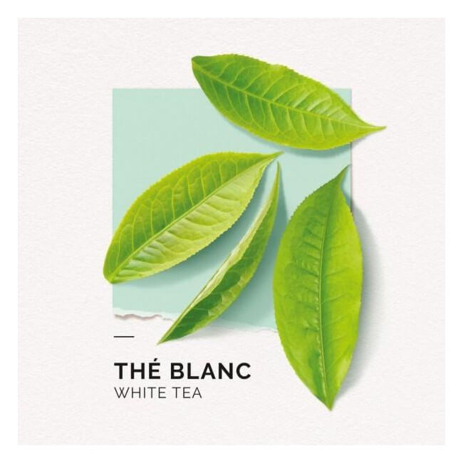 Névoa perfumada Chá branco Solinotes 250ML