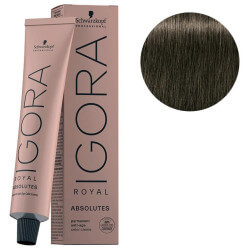 Igora Royal Absolutes 7-10 Loiro Médio Cinza Natural
