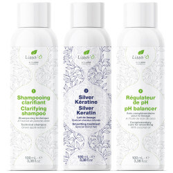 Set voor het gladmaken van het haar SILVER LISSA'O 3x100ML.