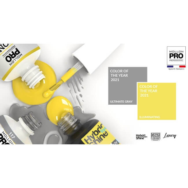 Verniz Monofásico n°20 Ultimate Grey uv/led Mollon Pro 10ML