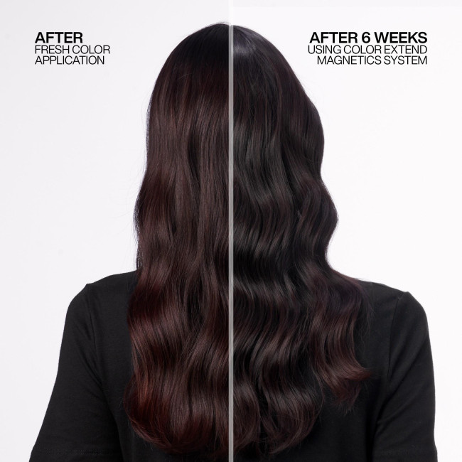 Color Extend Magnetics Redken Colored Hair Routine