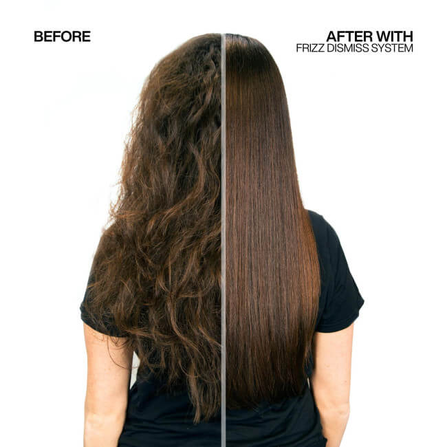 Frizz Elimina Redken Anti-Frizz Duo