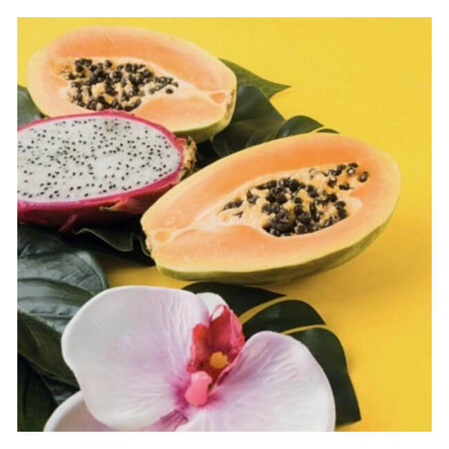 Pack nutricional Back-bar FARMAVITA