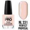 Colección de esmaltes de uñas clásicos Nude & Pastel Mollon Pro