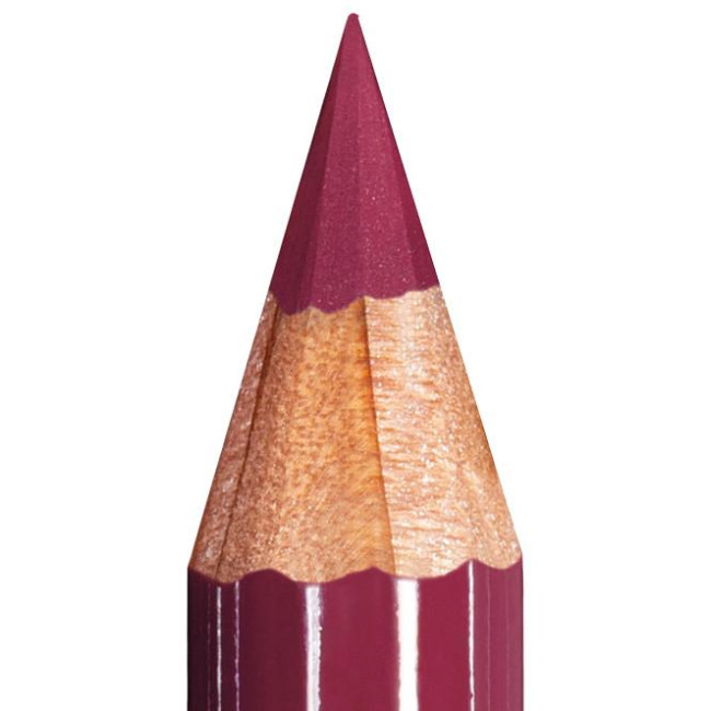 ARTIST LIPS Extra Soft Long Lasting Lip Liner - 110 Berry