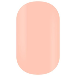Caixa de 24 dicas de unhas postiças Festival Bloom Beauty Coiffure