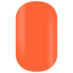 Doos met 24 nepnageltips Festival Bloom Beauty Coiffure
