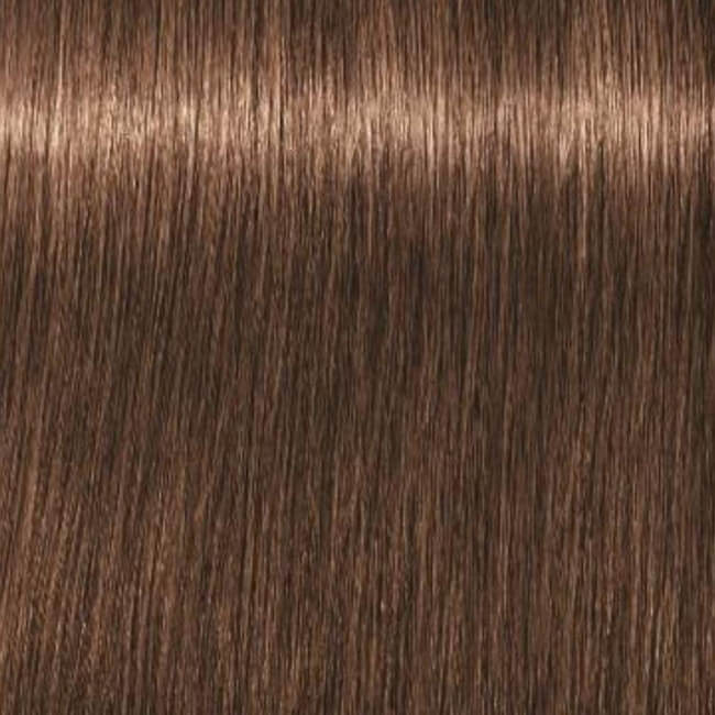 Igora Royal 6-65 Donkerblond Goudbruin 60 ML