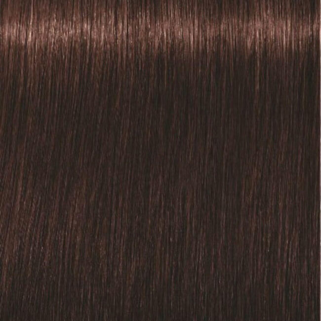 Igora Royal 4-68 Castanho Médio Marrom Vermelho 60 ML