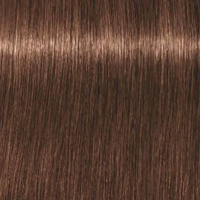 Igora Royal 6-6 Donkerblond Bruin 60 ML