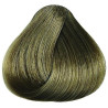 Kleuringscrème zonder ammoniak Duxelle 100ML