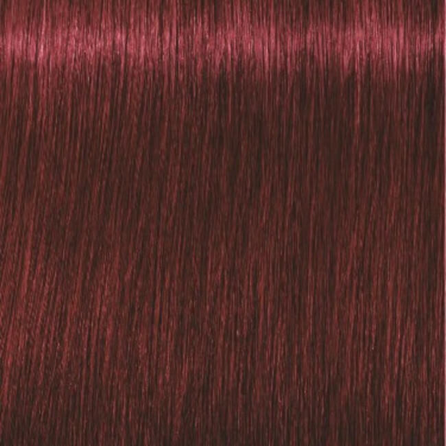 Igora Royal 5-88 Licht kastanje rood extra 60 ML