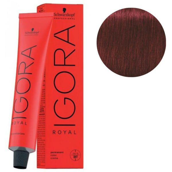 Igora Royal 5-88 Castanho claro vermelho extra 60 ML Igora Royal 5-88 Castanho claro vermelho extra 60 ML