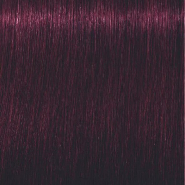 Igora Royal 5-99 Licht kastanje violet extra 60 ML