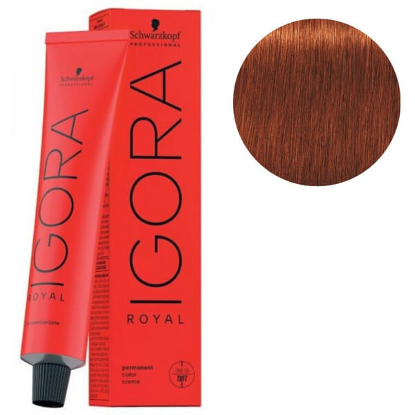 Igora Royal 6-77 Dunkelblond Kupfer Extra-60 ML