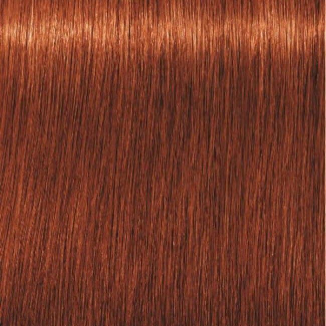 Igora Royal 6-77 Donker Koperblond Extra 60 ML