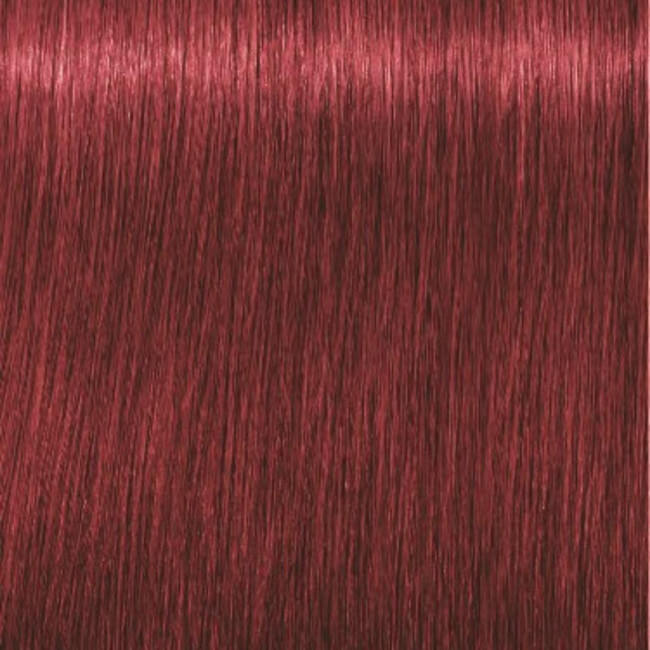 Igora Royal 6-88 Dark blond red extra 60 ML